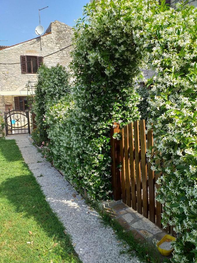 Rade Stancijeta Apartments Novigrad Istria Exteriér fotografie